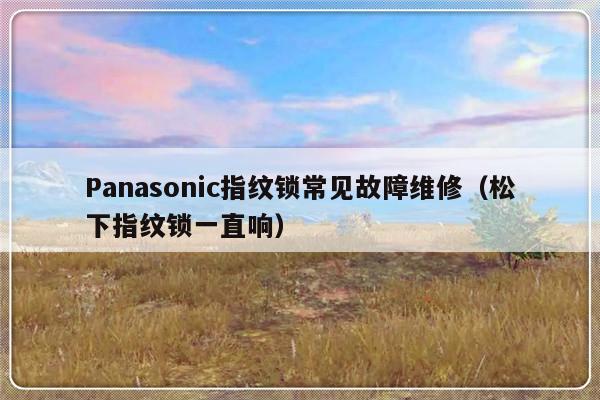 Panasonic指纹锁常见故障维修（松下指纹锁一直响）-第1张图片-乐修号