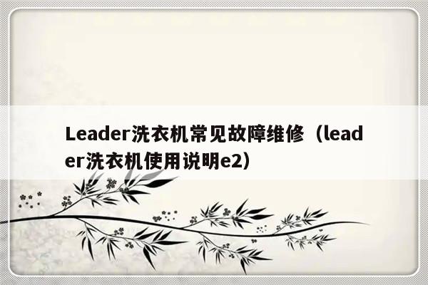 Leader洗衣机常见故障维修（leader洗衣机使用说明e2）-第1张图片-乐修号