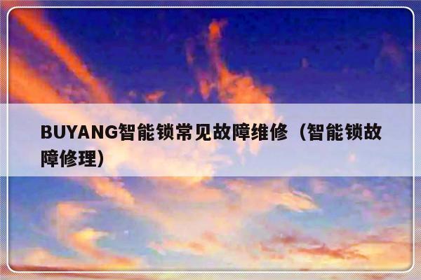 BUYANG智能锁常见故障维修（智能锁故障修理）-第1张图片-乐修号