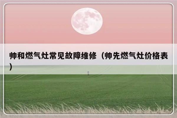 帅和燃气灶常见故障维修（帅先燃气灶价格表）-第1张图片-乐修号