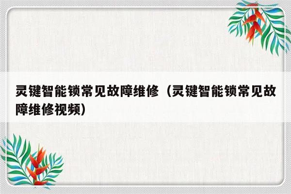 灵键智能锁常见故障维修（灵键智能锁常见故障维修视频）-第1张图片-乐修号