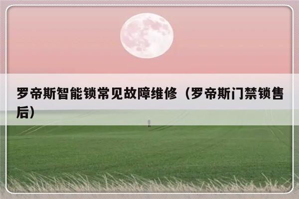 罗帝斯智能锁常见故障维修（罗帝斯门禁锁售后）-第1张图片-乐修号