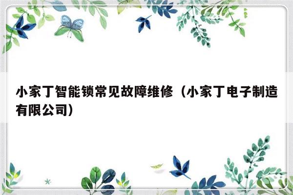 小家丁智能锁常见故障维修（小家丁电子制造有限公司）-第1张图片-乐修号