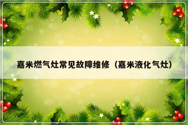 嘉米燃气灶常见故障维修（嘉米液化气灶）-第1张图片-乐修号