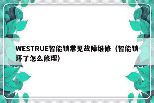 WESTRUE智能锁常见故障维修（智能锁坏了怎么修理）-第1张图片-乐修号