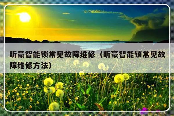 昕豪智能锁常见故障维修（昕豪智能锁常见故障维修方法）-第1张图片-乐修号