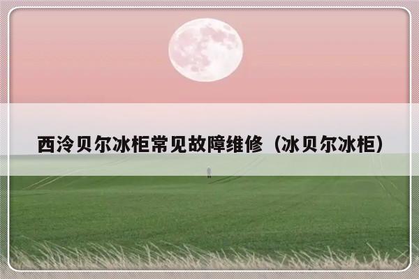 西泠贝尔冰柜常见故障维修（冰贝尔冰柜）-第1张图片-乐修号