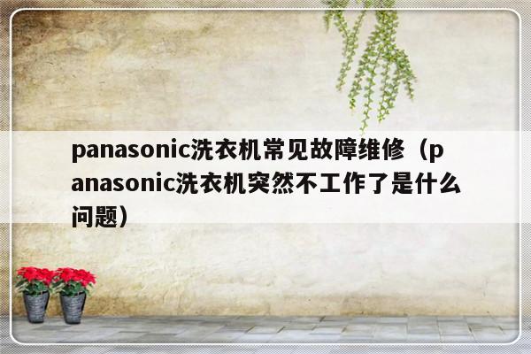 panasonic洗衣机常见故障维修（panasonic洗衣机突然不工作了是什么问题）-第1张图片-乐修号