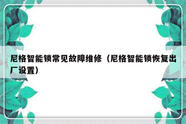 尼格智能锁常见故障维修（尼格智能锁恢复出厂设置）-第1张图片-乐修号