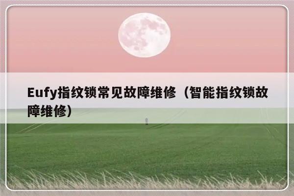 Eufy指纹锁常见故障维修（智能指纹锁故障维修）-第1张图片-乐修号