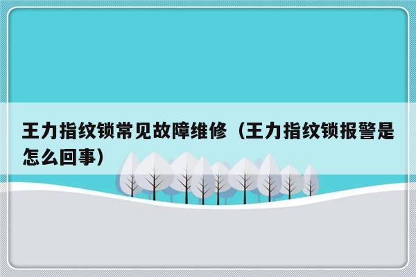 王力指纹锁常见故障维修（王力指纹锁报警是怎么回事）-第1张图片-乐修号