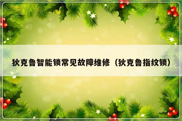 狄克鲁智能锁常见故障维修（狄克鲁指纹锁）-第1张图片-乐修号