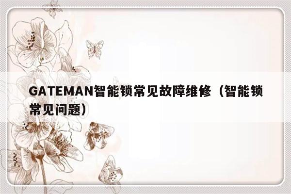 GATEMAN智能锁常见故障维修（智能锁常见问题）-第1张图片-乐修号