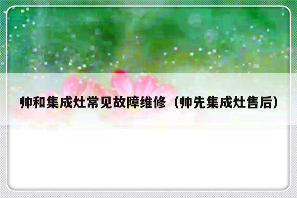 帅和集成灶常见故障维修（帅先集成灶售后）-第1张图片-乐修号