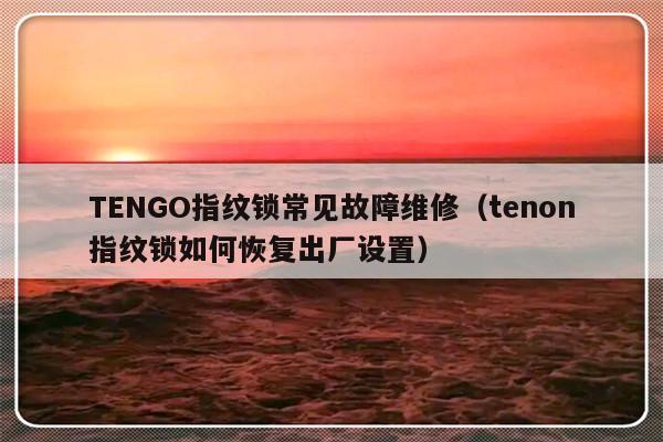 TENGO指纹锁常见故障维修（tenon指纹锁如何恢复出厂设置）-第1张图片-乐修号