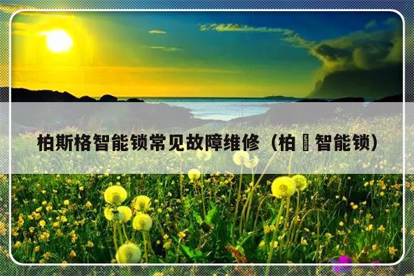 柏斯格智能锁常见故障维修（柏椛智能锁）-第1张图片-乐修号