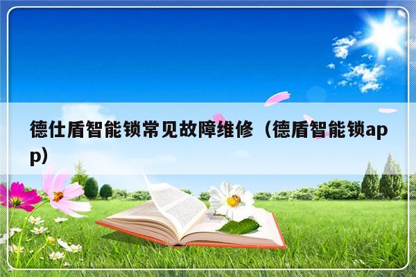 德仕盾智能锁常见故障维修（德盾智能锁app）-第1张图片-乐修号