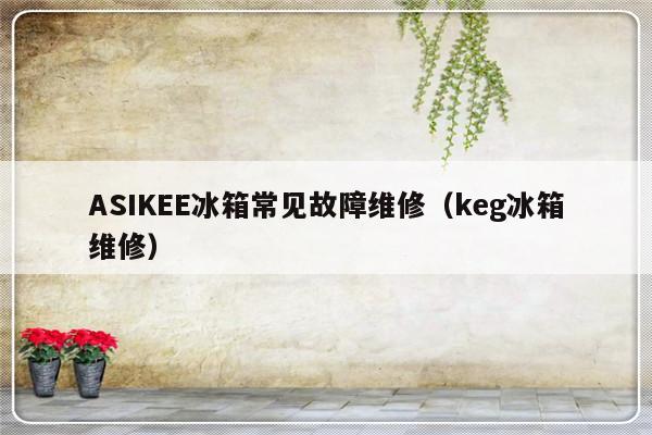 ASIKEE冰箱常见故障维修（keg冰箱维修）-第1张图片-乐修号