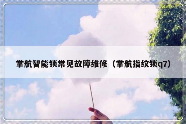 掌航智能锁常见故障维修（掌航指纹锁q7）-第1张图片-乐修号