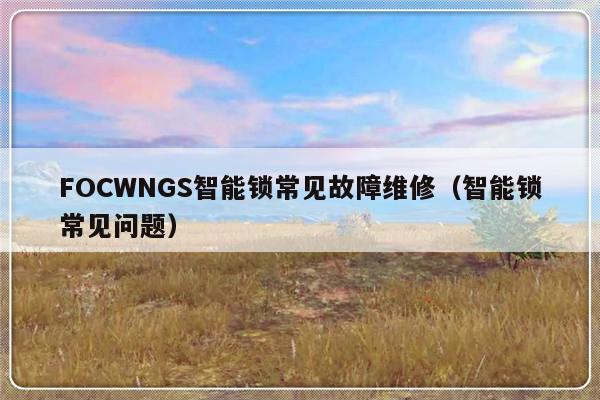 FOCWNGS智能锁常见故障维修（智能锁常见问题）-第1张图片-乐修号