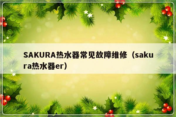 SAKURA热水器常见故障维修（sakura热水器er）-第1张图片-乐修号