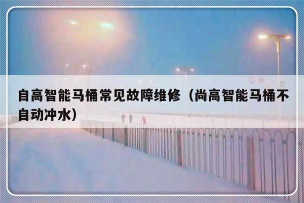 自高智能马桶常见故障维修（尚高智能马桶不自动冲水）-第1张图片-乐修号