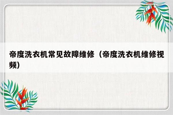 帝度洗衣机常见故障维修（帝度洗衣机维修视频）-第1张图片-乐修号