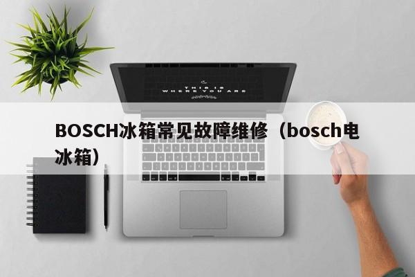 BOSCH冰箱常见故障维修（bosch电冰箱）-第1张图片-乐修号