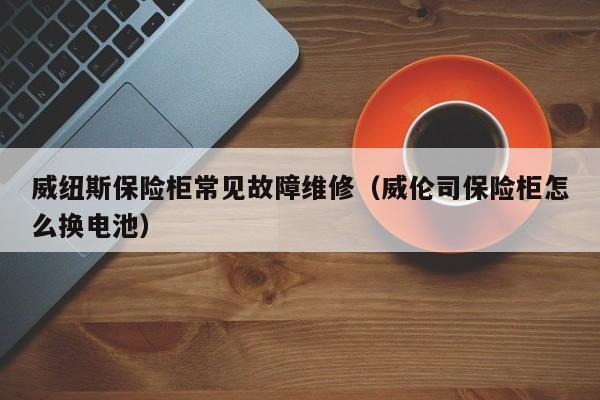 威纽斯保险柜常见故障维修（威伦司保险柜怎么换电池）-第1张图片-乐修号