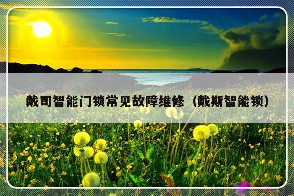 戴司智能门锁常见故障维修（戴斯智能锁）-第1张图片-乐修号