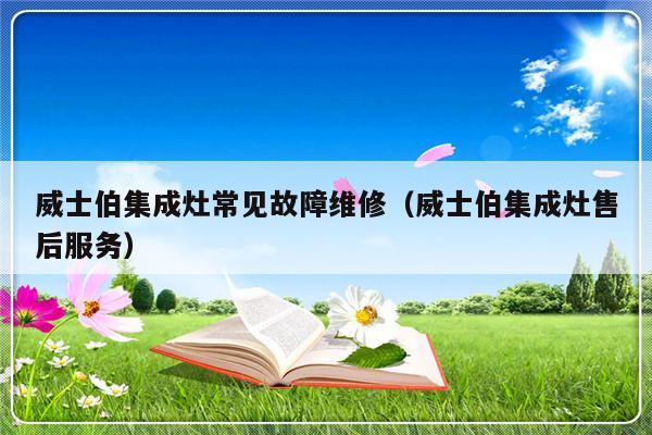 威士伯集成灶常见故障维修（威士伯集成灶售后服务）-第1张图片-乐修号