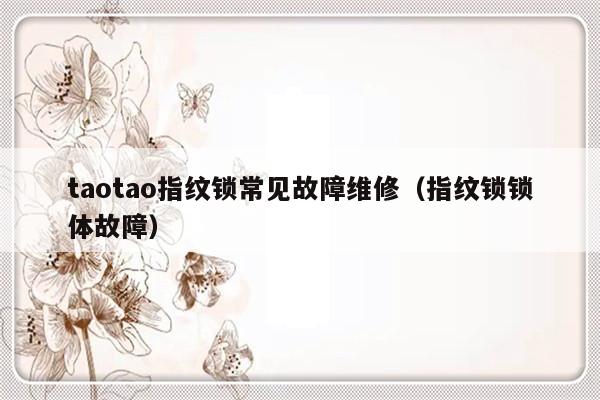 taotao指纹锁常见故障维修（指纹锁锁体故障）-第1张图片-乐修号