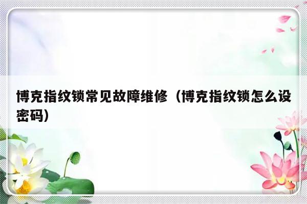 博克指纹锁常见故障维修（博克指纹锁怎么设密码）-第1张图片-乐修号