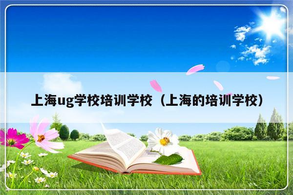 上海ug学校培训学校（上海的培训学校）-第1张图片-乐修号