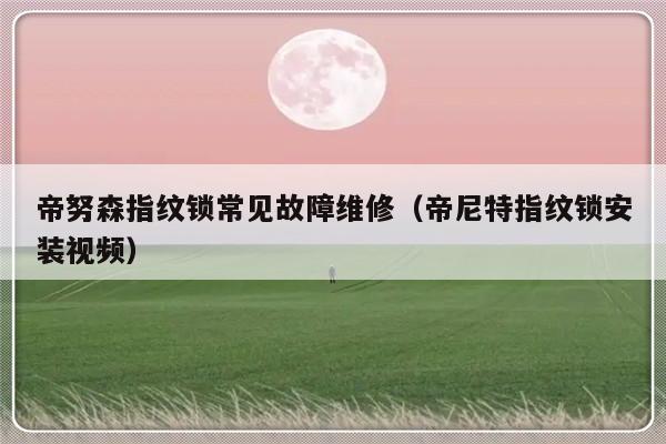 帝努森指纹锁常见故障维修（帝尼特指纹锁安装视频）-第1张图片-乐修号