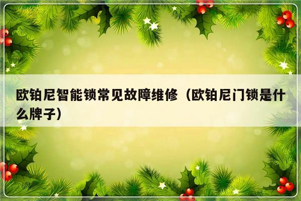 欧铂尼智能锁常见故障维修（欧铂尼门锁是什么牌子）-第1张图片-乐修号