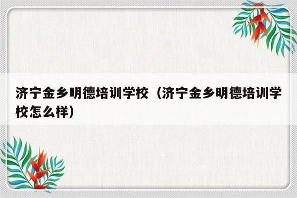 济宁金乡明德培训学校（济宁金乡明德培训学校怎么样）-第1张图片-乐修号