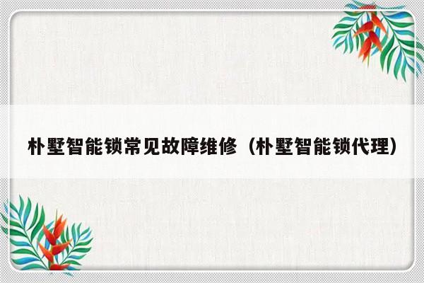 朴墅智能锁常见故障维修（朴墅智能锁代理）-第1张图片-乐修号