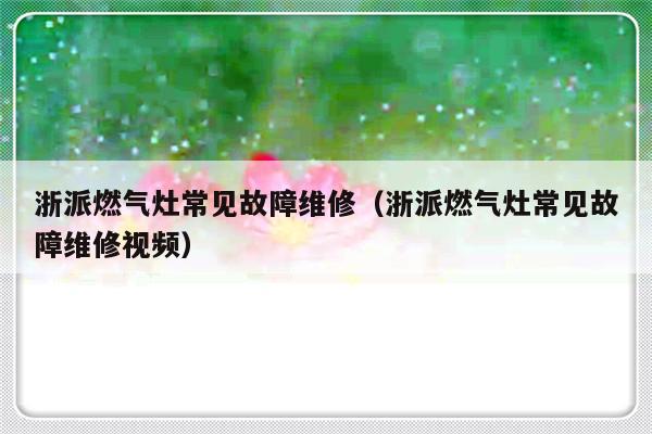 浙派燃气灶常见故障维修（浙派燃气灶常见故障维修视频）-第1张图片-乐修号