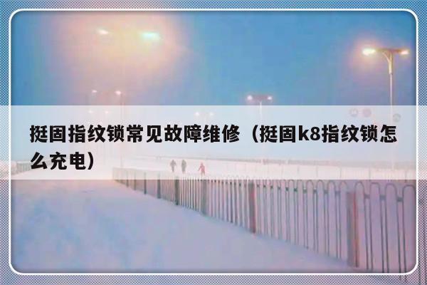 挺固指纹锁常见故障维修（挺固k8指纹锁怎么充电）-第1张图片-乐修号