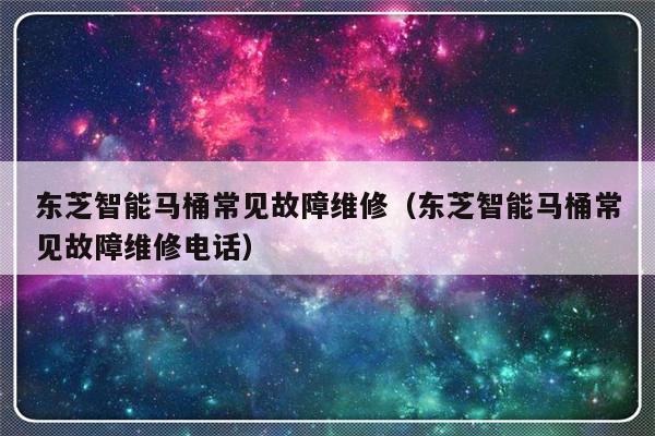 东芝智能马桶常见故障维修（东芝智能马桶常见故障维修电话）-第1张图片-乐修号