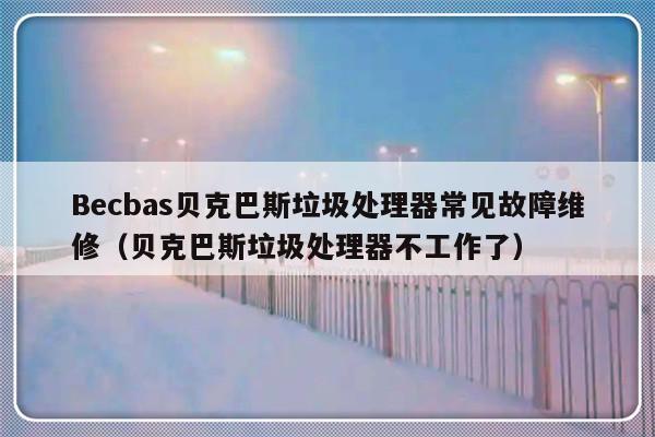 Becbas贝克巴斯垃圾处理器常见故障维修（贝克巴斯垃圾处理器不工作了）-第1张图片-乐修号