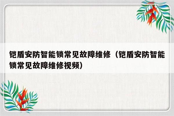 铠盾安防智能锁常见故障维修（铠盾安防智能锁常见故障维修视频）-第1张图片-乐修号