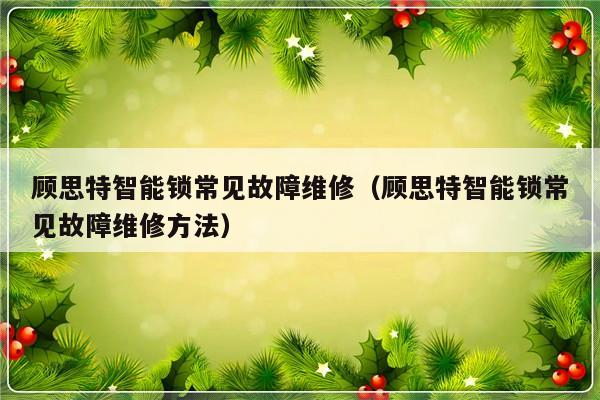 顾思特智能锁常见故障维修（顾思特智能锁常见故障维修方法）-第1张图片-乐修号