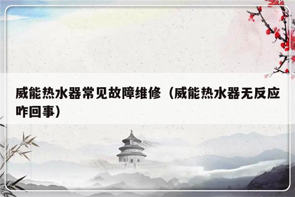 威能热水器常见故障维修（威能热水器无反应咋回事）-第1张图片-乐修号