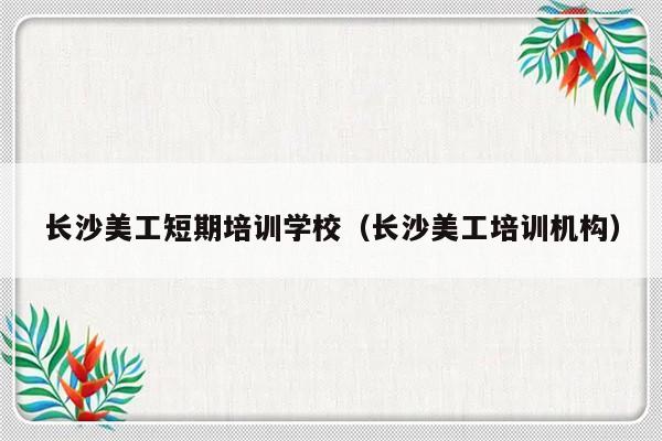 长沙美工短期培训学校（长沙美工培训机构）-第1张图片-乐修号