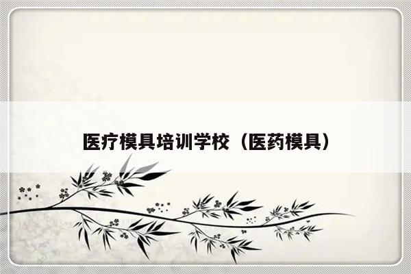 医疗模具培训学校（医药模具）-第1张图片-乐修号