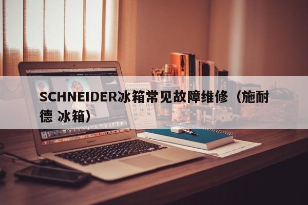 SCHNEIDER冰箱常见故障维修（施耐德 冰箱）-第1张图片-乐修号