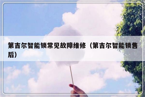 第吉尔智能锁常见故障维修（第吉尔智能锁售后）-第1张图片-乐修号