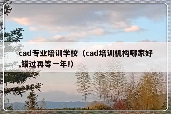 cad专业培训学校（cad培训机构哪家好,错过再等一年!）-第1张图片-乐修号